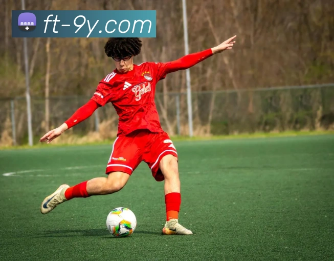 九游官网平台生态图